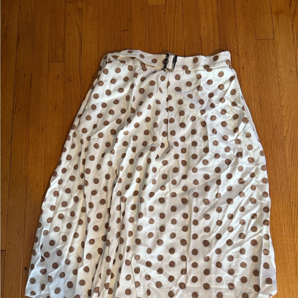 Ann Taylor Factory Polka Dot Skirt